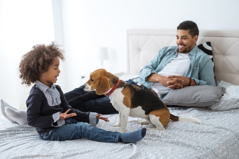 A family sitting on a bed with their dog.