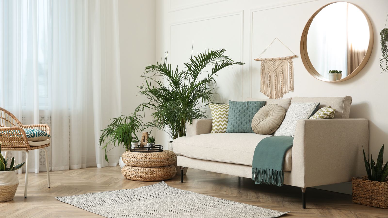 A couch and plants in a living room during the day.