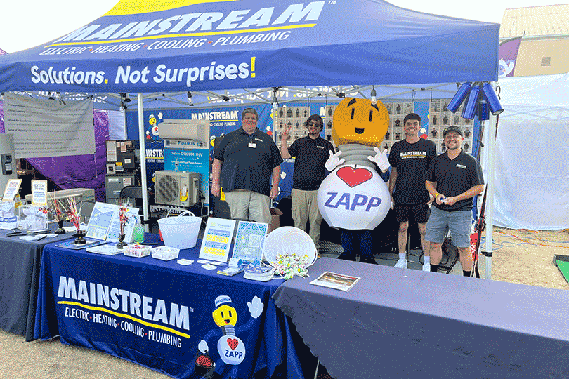 Zapp and the Mainstream Electric team at the fair