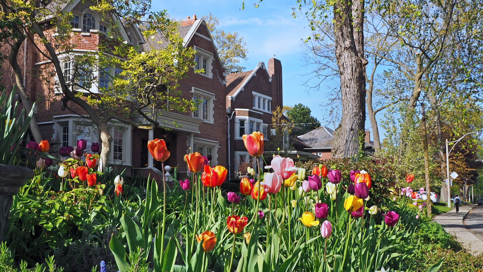 Homes on a street with a spring time scene of blooming flowers in the foreground